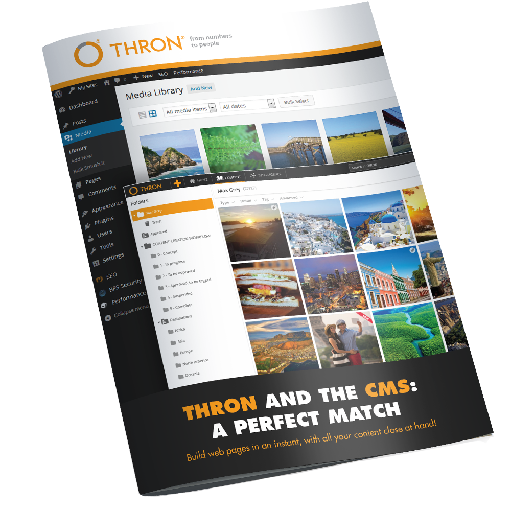 thron and CMS free ebook