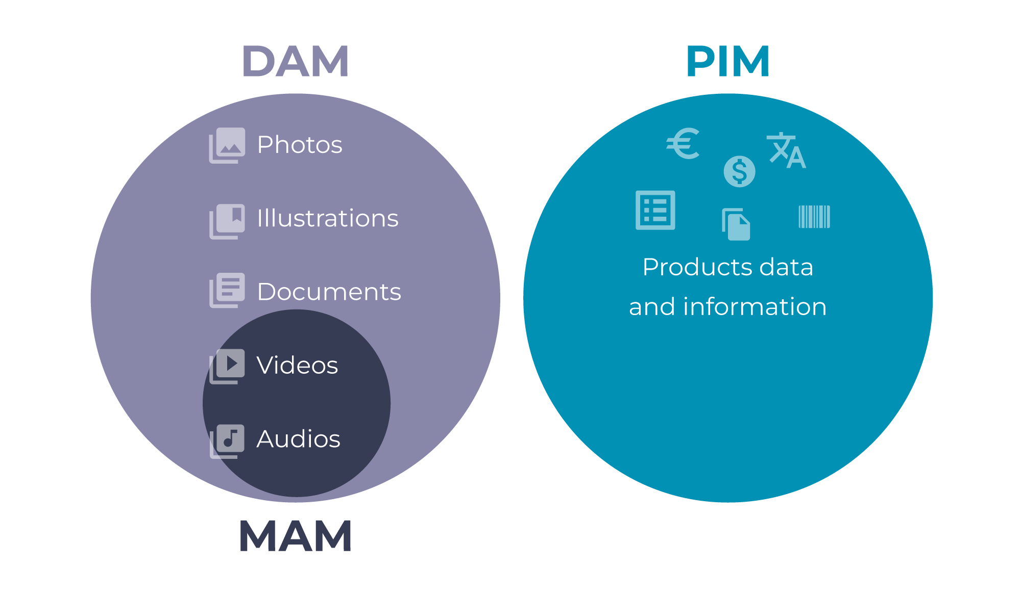 DAM, MAM e PIM 